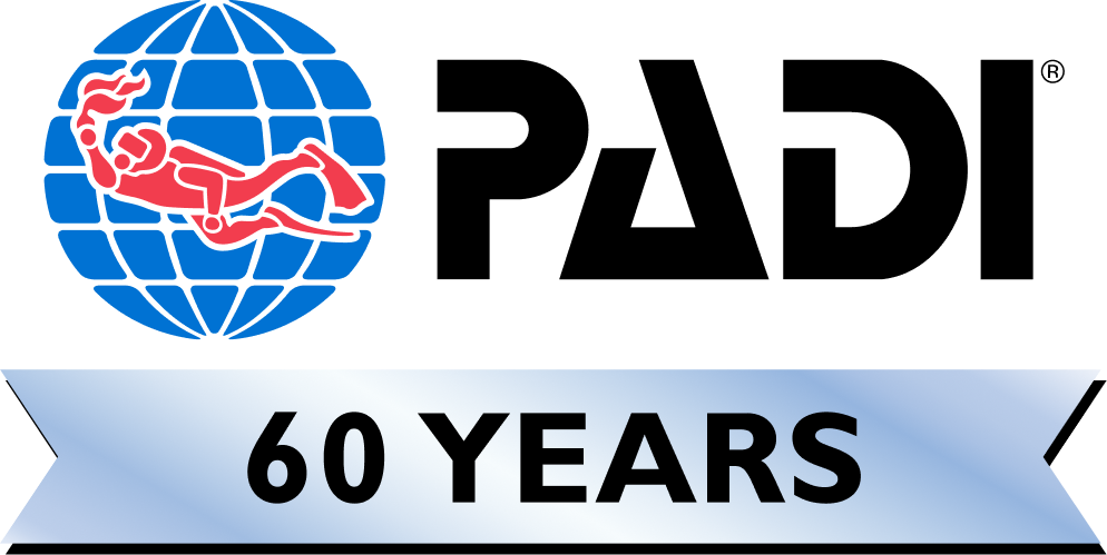 Client Logo 19